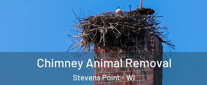 Chimney Animal Removal Stevens Point - WI