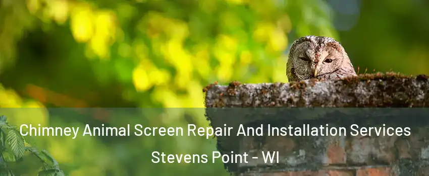  Chimney Animal Screen Repair And Installation Services Stevens Point - WI