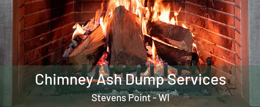 Chimney Ash Dump Services Stevens Point - WI