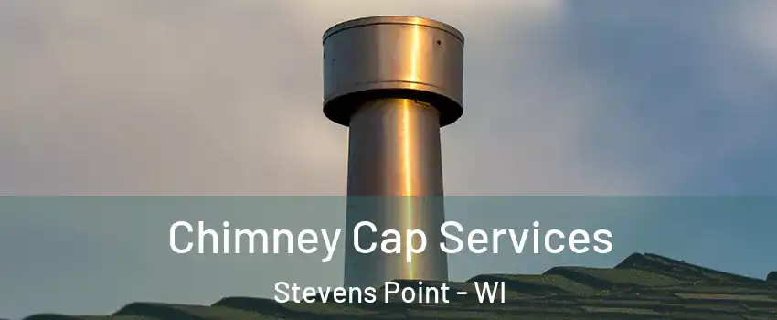  Chimney Cap Services Stevens Point - WI
