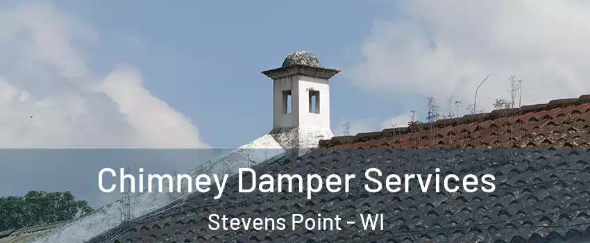  Chimney Damper Services Stevens Point - WI