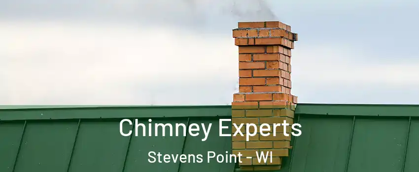  Chimney Experts Stevens Point - WI