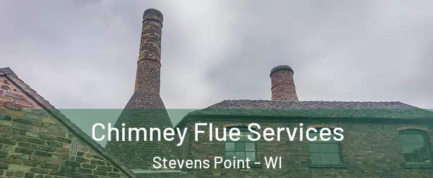  Chimney Flue Services Stevens Point - WI