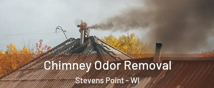  Chimney Odor Removal Stevens Point - WI