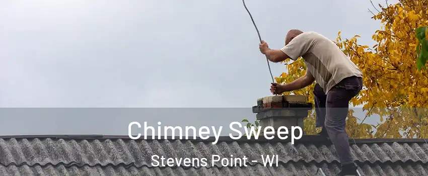  Chimney Sweep Stevens Point - WI