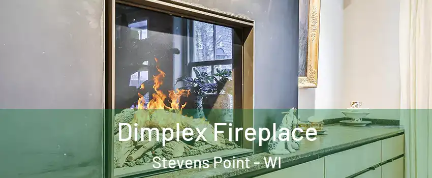  Dimplex Fireplace Stevens Point - WI