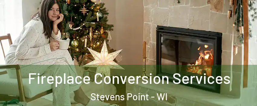  Fireplace Conversion Services Stevens Point - WI