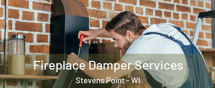  Fireplace Damper Services Stevens Point - WI