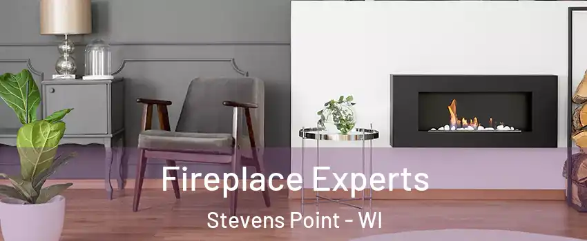  Fireplace Experts Stevens Point - WI