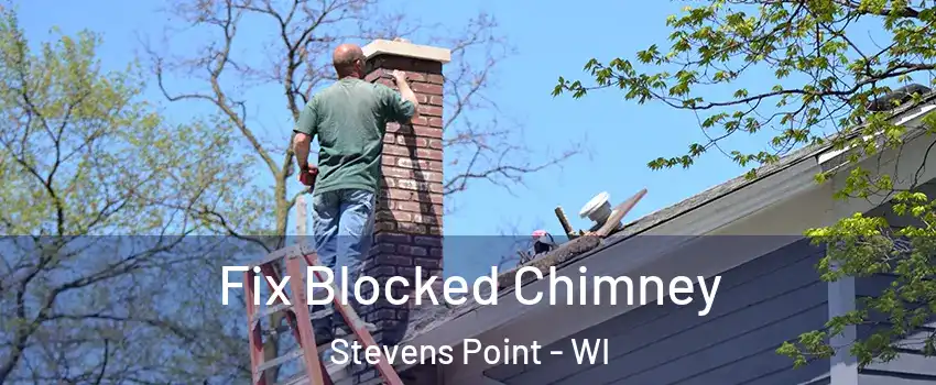  Fix Blocked Chimney Stevens Point - WI