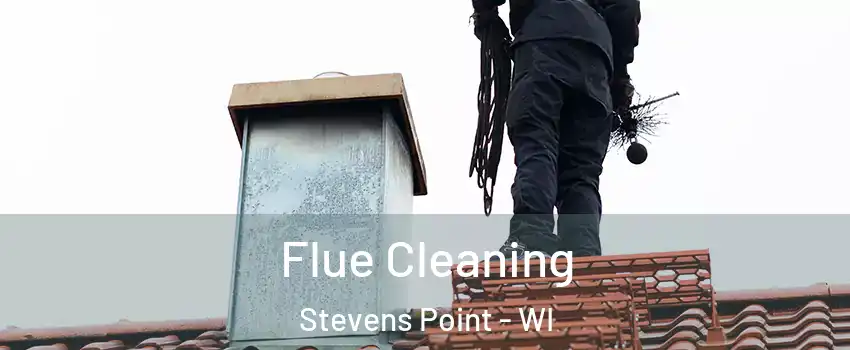  Flue Cleaning Stevens Point - WI