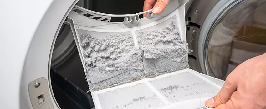 Best Dryer Lint Removal Company in Stevens Point, Wisconsin