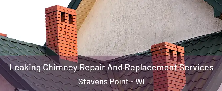  Leaking Chimney Repair And Replacement Services Stevens Point - WI