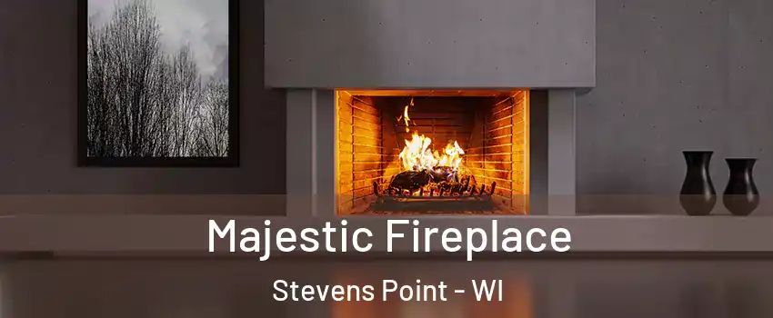  Majestic Fireplace Stevens Point - WI