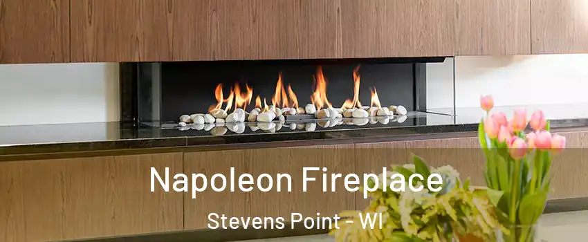  Napoleon Fireplace Stevens Point - WI