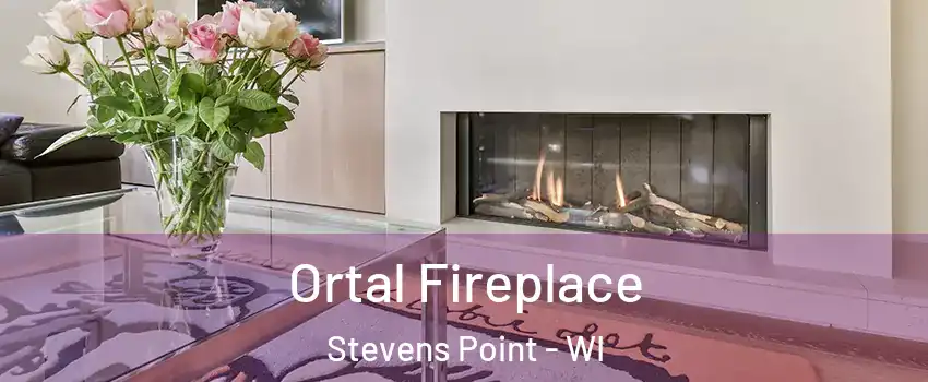  Ortal Fireplace Stevens Point - WI